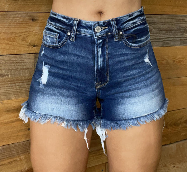 Lani Frayed Hem Denim Shorts